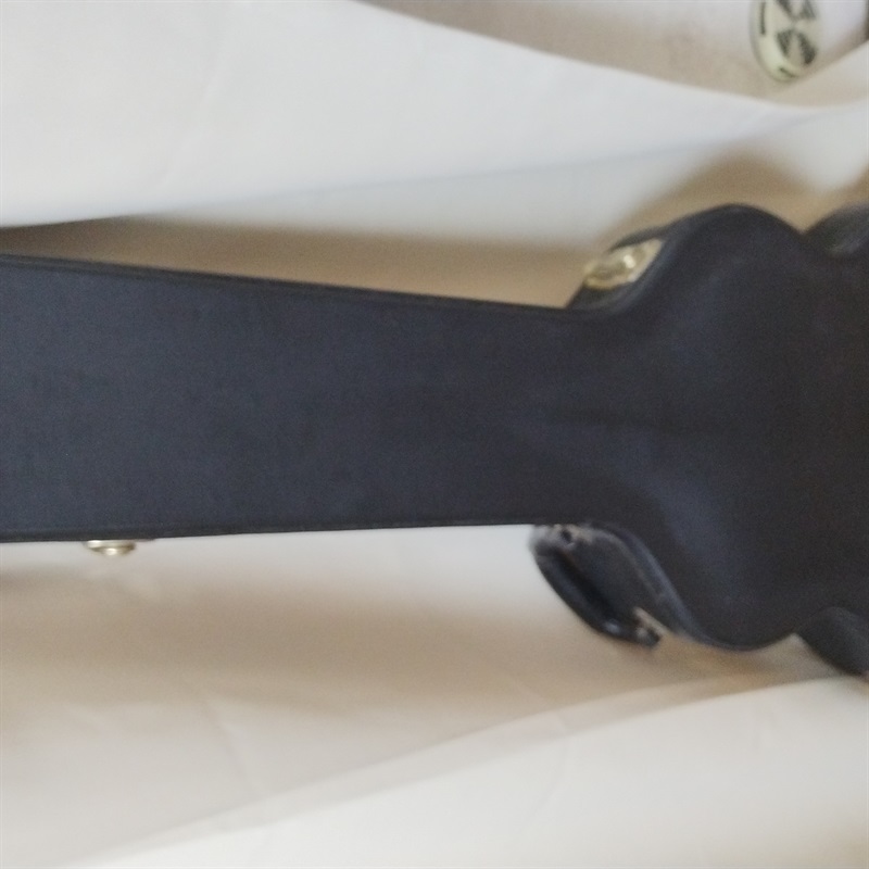 Edwards E-SA-138LTCの画像
